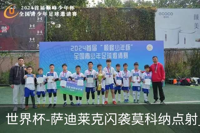 世界杯-萨迪莱克闪袭莫科纳点射 捷克痛失好局1-1南非