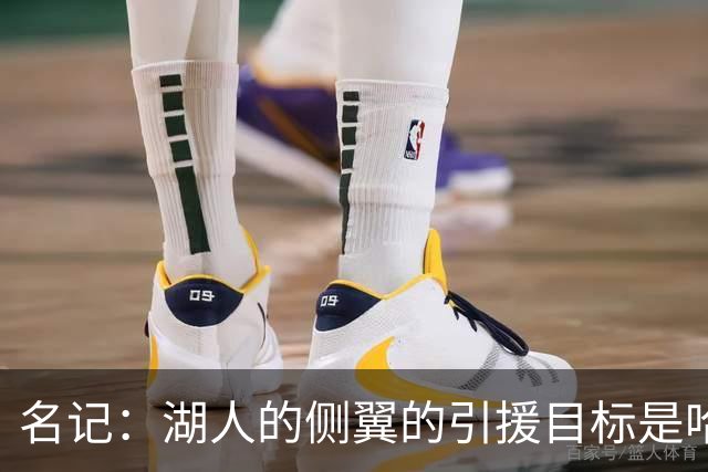 名记：湖人的侧翼的引援目标是哈里斯、格莱姆斯和迪恩·韦德