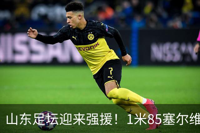 山东足坛迎来强援！1米85塞尔维亚前国脚正式加盟
