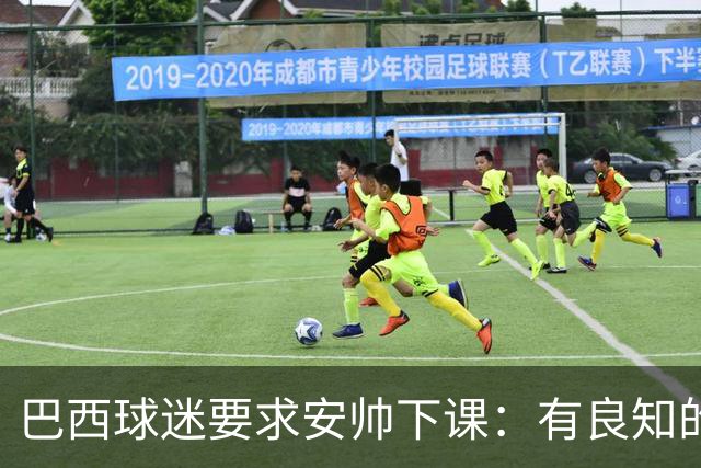 巴西球迷要求安帅下课：有良知的话今晚就辞职 瓜帅帮帮我们吧